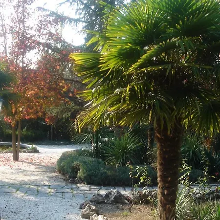 Esplendido En * Santo Domingo (Madrid)