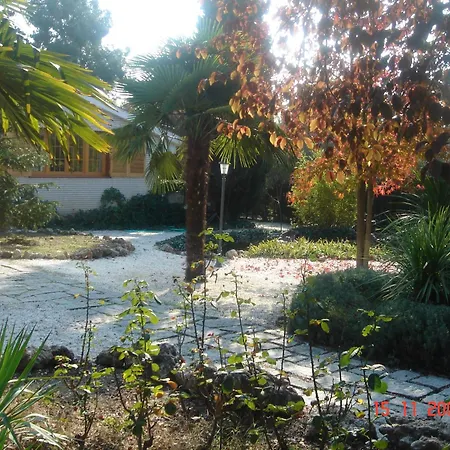 Esplendido En